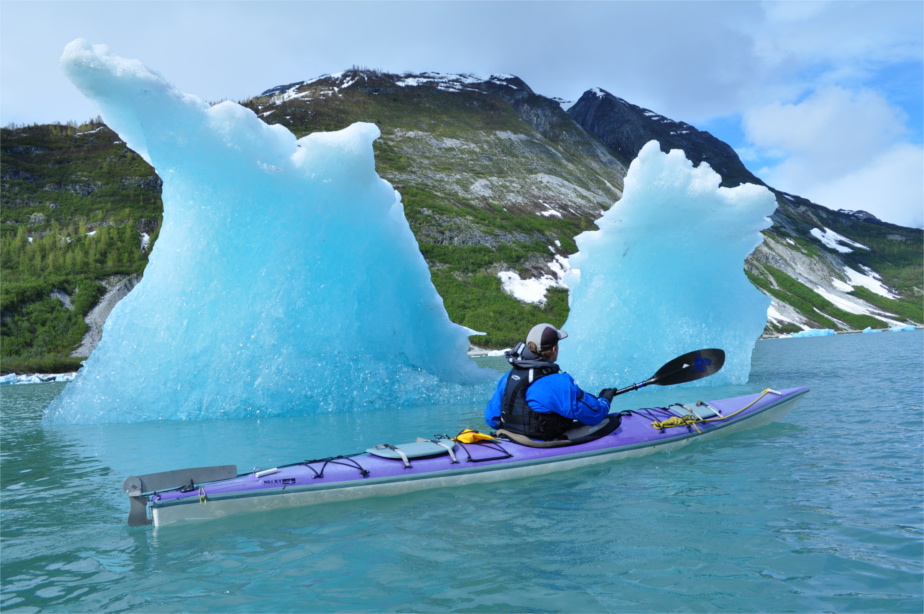 Ice bergs in Glacier Bay